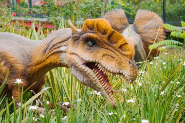 Bir Dilophosaurus, orta büyüklükteki bitkiler ve dağınık kır çiçekleriyle çevrili yemyeşil çimlerin arasında duruyor. Tarih öncesi ortama uyum sağlıyorlar..