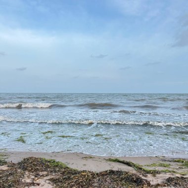 Sakin Okyanus Dalgaları Sandy Shore 'u vuruyor