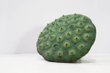 Beyaz arkaplanda nilüfer tohumları yeşil.