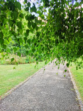 Hill Garden ve Pergola Park 'taki gri yol. Çimenler kenarlarda ve yeşil yapraklar yol boyunca manzarayı örtüyor.