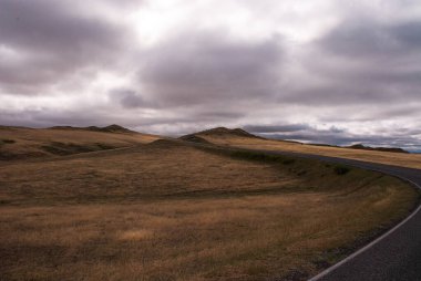 Kuru çayır çimenleri, bulutlu bir gökyüzünün altında kıvrımlı asfalt bir yola doğru yükselir.