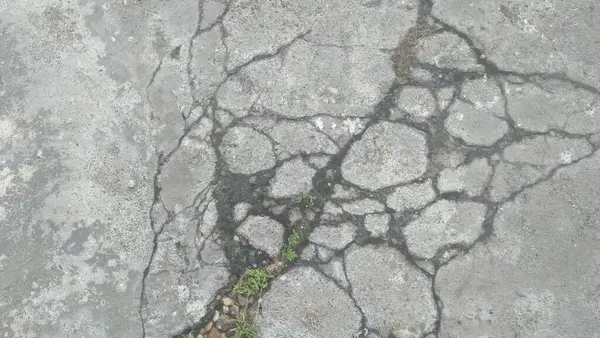 Bitkilerin büyüdüğü hasarlı beton teras dokusu