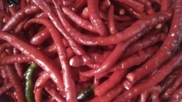 Taze kırmızı biber. Estetik Arkaplan