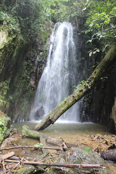 Bir şelale küçük bir su havuzuna akıyor. Su temiz ve kayalar havuzun etrafına saçılmış. Huzurlu ve huzurlu bir sahne.