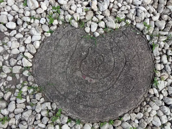 Yüzeyinde dairesel deseni olan büyük yuvarlak bir taş beyaz çakılların arasına gömülüdür. Taşların arasında bazı yabani otlar yetişiyor.