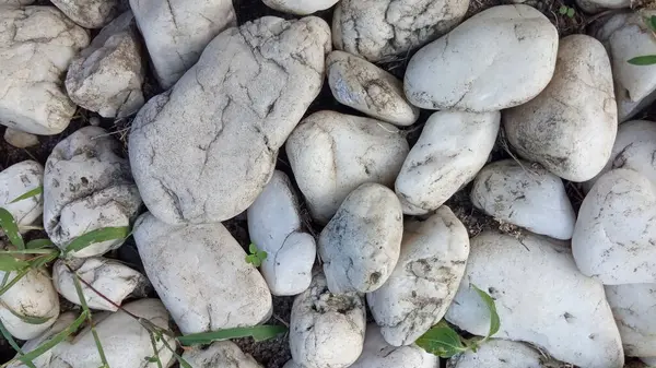 Toprak ve Çimenli Doğal Beyaz Taş Yüzeyi