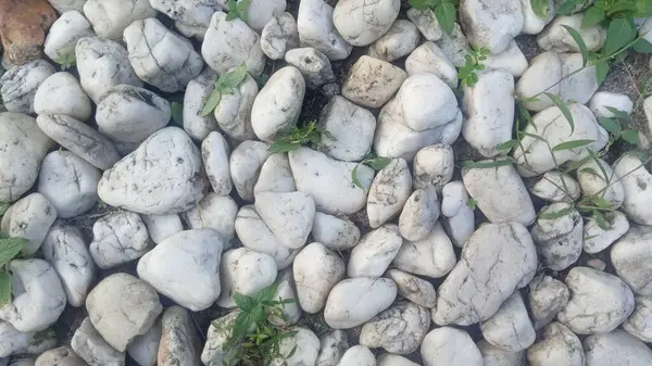 Toprak ve Çimenli Doğal Beyaz Taş Yüzeyi