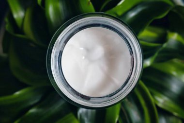 Yeşil yapraklı bir arkaplanda bir krema kavanozu; yukarıdan görünüm