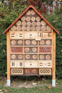 Parktaki böcekler için bir ev ya da otel