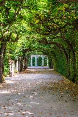 Saint-Petersburg 'daki sonbahar parkındaki ara sokak.