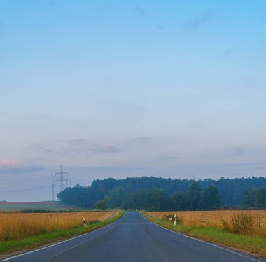 Çimenli ve ağaçlı köy yolu.