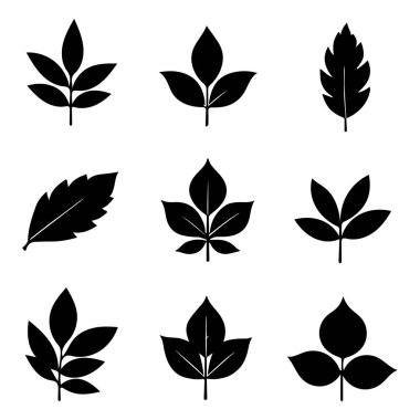  Modern Vektör Biçimi Eşsiz Şeklinde Siluet Yaprak simgeleri logosu
