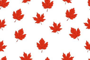 Canlı kırmızı akçaağaç yaprakları beyaz zemine saçılmış. Klasik bir sonbahar deseni. Mevsimlik temalar için mükemmel.