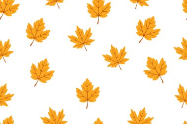 Parlak sarı akçaağaç yaprakları beyaz bir zemine saçılmış, pürüzsüz bir sonbahar deseni oluşturur. Güneşli sonbahar temaları için mükemmel.