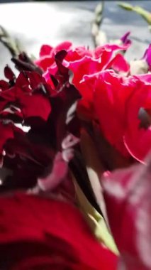 Ağır çekimde bir buket gladioli.