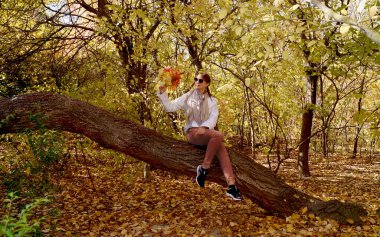 Sonbahar ormanında yapraklı buketle ağaçta oturan bir kadın. Yüksek kalite fotoğraf