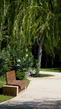 Söğütlerle çevrili bir bankta. Yüksek kalite fotoğraf