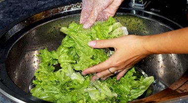 Kadın marul yıkıyor. Yüksek kalite fotoğraf