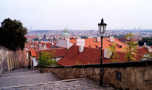 Prag kırmızı çatıları. Yüksek kalite fotoğraf