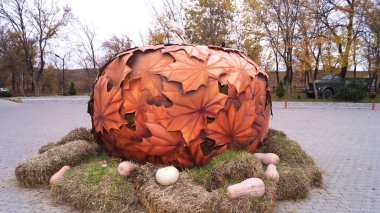 Güzel balkabağı kompozisyonu, sonbahar havası. Yüksek kalite fotoğraf