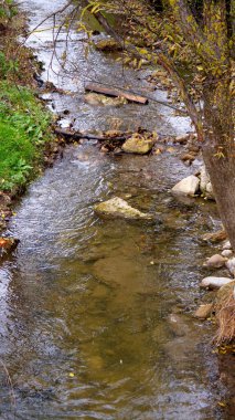 Kırsal kesimde sonbahar doğası. Yüksek kalite fotoğraf
