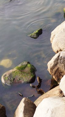 Deniz kenarındaki taşlar ve kayalar. Yüksek kalite fotoğraf