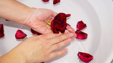 Kadın ellerini kâseye ve gül yapraklarına daldırıyor. Yüksek kalite fotoğraf