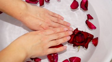 Kadın ellerini kâseye ve gül yapraklarına daldırıyor. Yüksek kalite fotoğraf