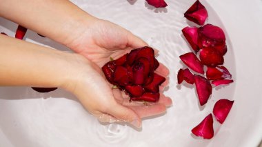 Kadın ellerini kâseye ve gül yapraklarına daldırıyor. Yüksek kalite fotoğraf