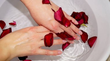 Kadın ellerini kâseye ve gül yapraklarına daldırıyor. Yüksek kalite fotoğraf