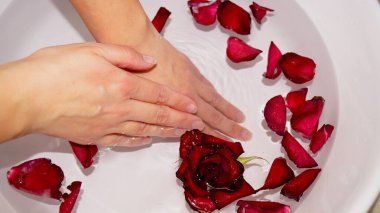 Kadın ellerini kâseye ve gül yapraklarına daldırıyor. Yüksek kalite fotoğraf