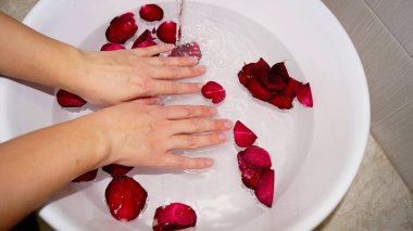 Kadın ellerini kâseye ve gül yapraklarına daldırıyor. Yüksek kalite fotoğraf