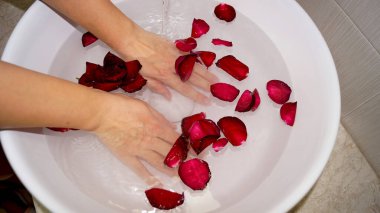 Kadın ellerini kâseye ve gül yapraklarına daldırıyor. Yüksek kalite fotoğraf