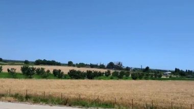 Hareket halindeki araba penceresinden tarlalar