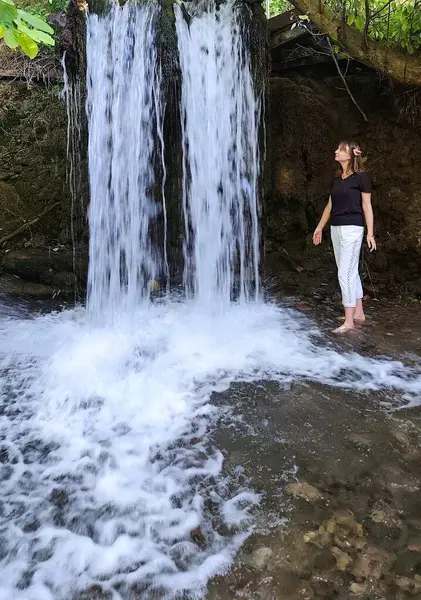 Azerbaycan ormanındaki şelale. Yüksek kalite.