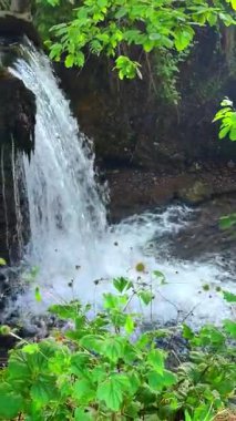 Azerbaycan Ormanında Şelale 
