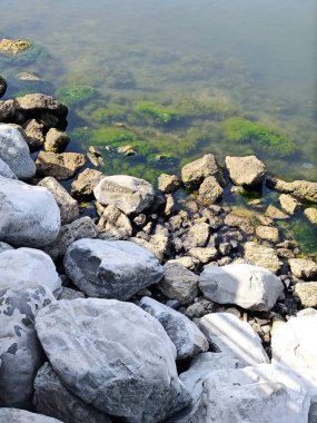 Sahildeki kayalar. Yüksek kalite fotoğraf