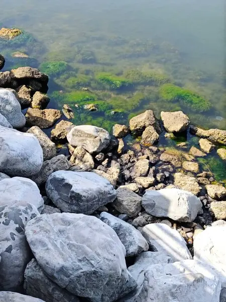 Sahildeki kayalar. Yüksek kalite fotoğraf