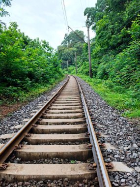 Demiryolu ve Batumi Tsikhitdziri 'deki güzel doğa manzarası. Yüksek kalite fotoğraf