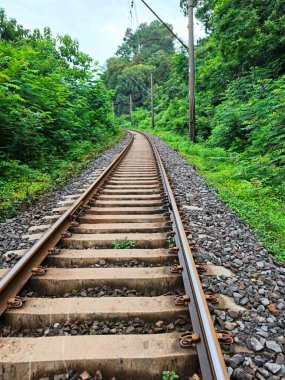 Demiryolu ve Batumi Tsikhitdziri 'deki güzel doğa manzarası. Yüksek kalite fotoğraf