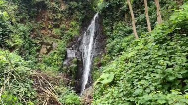 Genç kadın ve şelale Batumi tsikitdziri 'de. Yüksek kalite fotoğraf