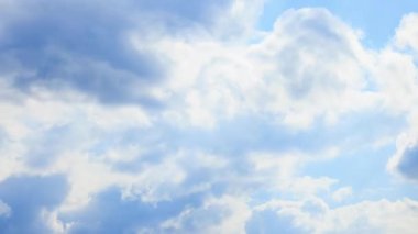 Yazın çiçek açan lavantanın yakın çekimi - yoğun renkler ve doğal güzellik, doğa, tarım ve aromaterapi - Valensole, Provence, Fransa