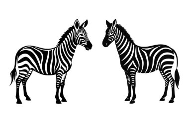 Bu görüntü iki zebra siluetini koyu siyah-beyaz vektör biçiminde gösteriyor. Zebralar birbirlerine bakıyorlar, belirgin çizgilerini ve zarif duruşlarını sergiliyorlar, vahşi yaşam temalı tasarımlarda ve çizimlerde kullanılmak için ideal hale getiriyorlar..