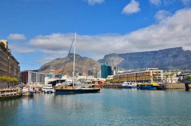 Cape Town manzarası