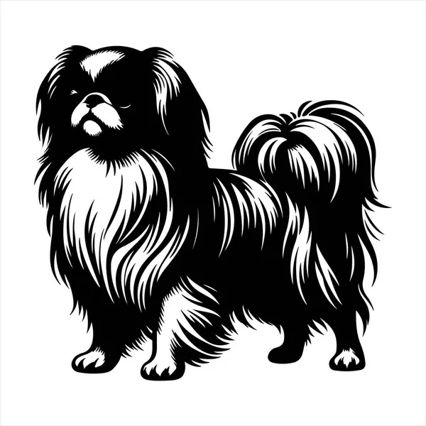 Japon Chin köpek vektör illüstrasyonu çizgi film tarzında beyaz arkaplanda izole edildi.