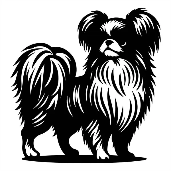 Japon Chin köpek vektör illüstrasyonu çizgi film tarzında beyaz arkaplanda izole edildi.