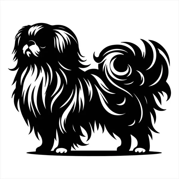 Japon Chin köpek vektör illüstrasyonu çizgi film tarzında beyaz arkaplanda izole edildi.