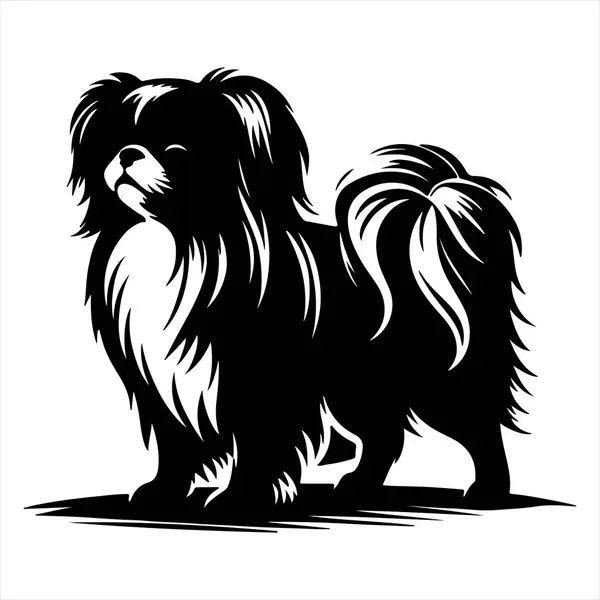 Japon Chin köpek vektör illüstrasyonu çizgi film tarzında beyaz arkaplanda izole edildi.