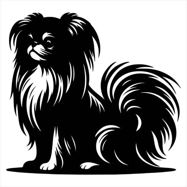 Japon Chin köpek vektör illüstrasyonu çizgi film tarzında beyaz arkaplanda izole edildi.