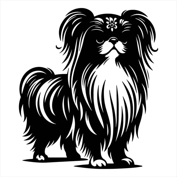 Japon Chin köpek vektör illüstrasyonu çizgi film tarzında beyaz arkaplanda izole edildi.